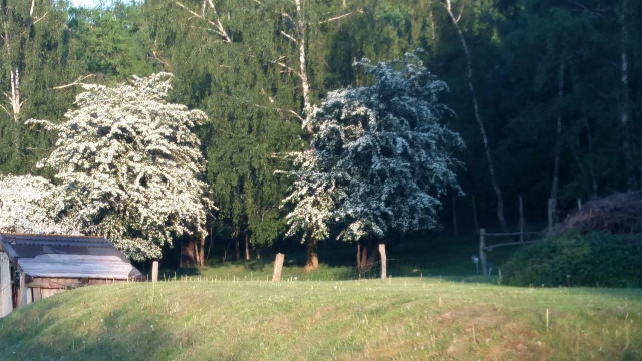 Zimmervermietung Am Holzberg Thallwitz Εξωτερικό φωτογραφία
